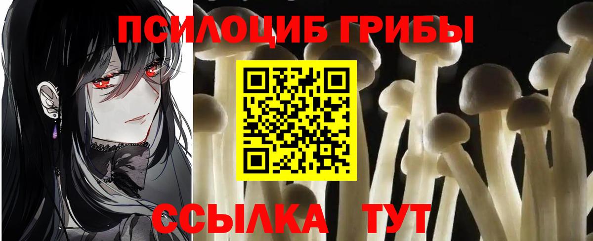 Галлюциногенные грибы мицелий  Вход с VPN  Сарапул 
